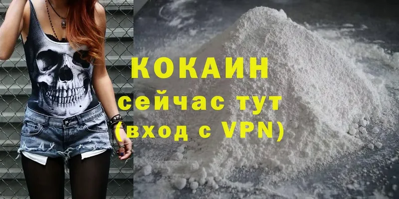 маркетплейс как зайти  hydra как зайти  Губаха  где можно купить наркотик  Cocaine FishScale 