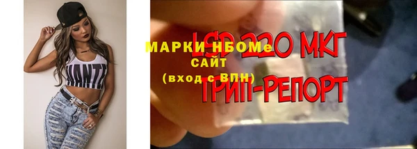 винт Бронницы